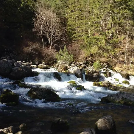 Camp Du Cerf Hébergement de vacances Pellafol