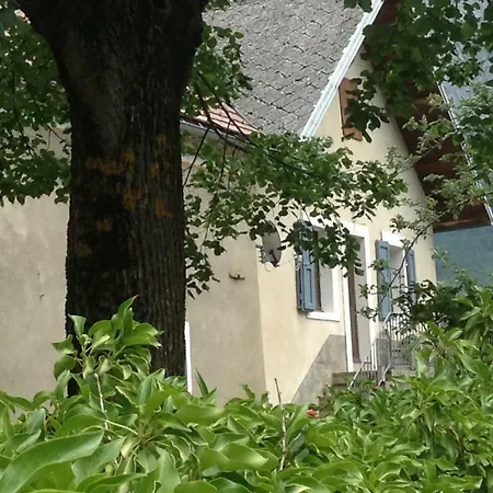 Camp Du Cerf Pellafol