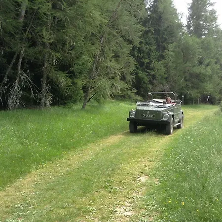 Camp Du Cerf Pellafol