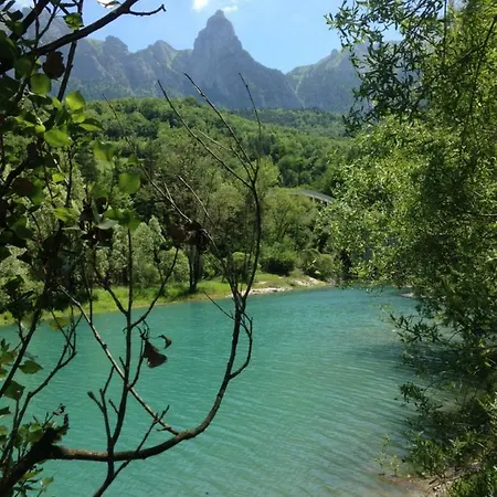 Camp Du Cerf * Pellafol